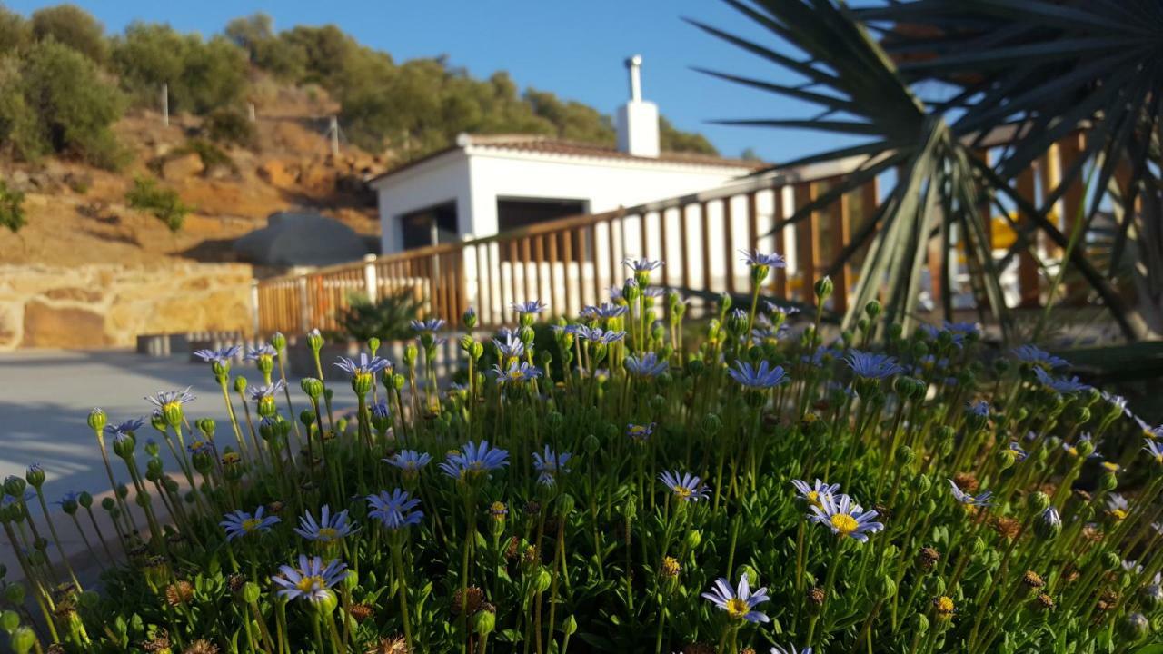 Villa Rural El Mirador Alora Exteriér fotografie